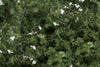 Woodland Scenics 1129 Shrubs & Saplings Medium Green (60 Cu. In.)