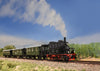 Trix 21229 HO DB "Spalter Bockl" Train Set MFX DCC/Sound (MHI Exclusive Item)