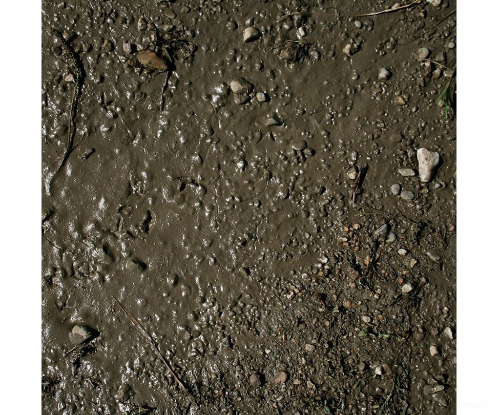 AK Interactive AK8016 Terrains Wet Ground 250ml - Other Scenery