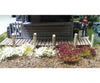 Bachmann 31035 Grass Tufts - Scenescapes(R) -- White Burgundy 1/4 .6Cm Tall Fibers Pkg(100) &