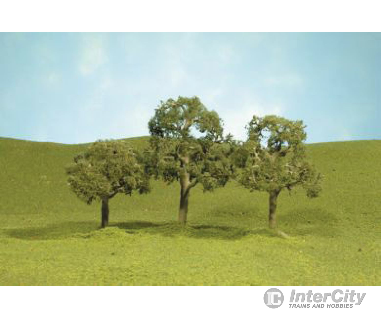 Bachmann 32207 Scenescapes(Tm) Layout-Ready Trees -- Walnut 5 Pkg(2) & Vegetation