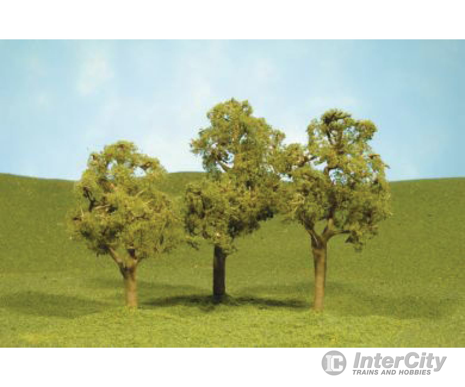 Bachmann 32208 Scenescapes(Tm) Layout-Ready Trees -- Elm 5-1/2 Pkg(2) & Vegetation