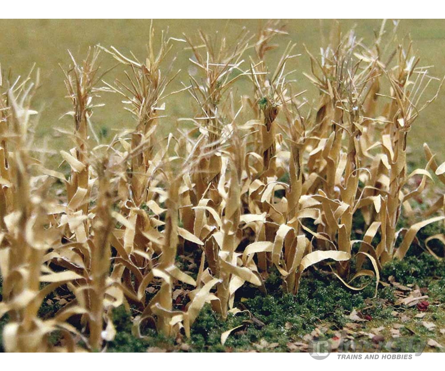 Bachmann 32503 Dried Corn Stalks -- 1 2.5Cm Tall Pkg(30) Other Scenery