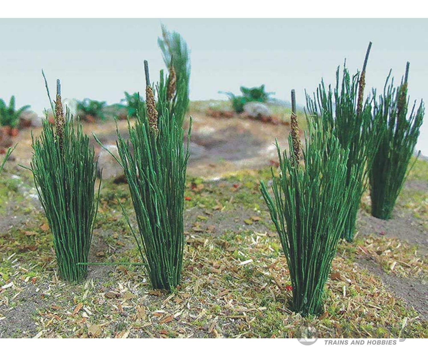 Bachmann 32505 Cattails -- 3/4 1.9Cm Pkg(24) Other Scenery