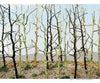 Bachmann 32509 Woods Edge Trees -- Bare Pkg(14) Other Scenery