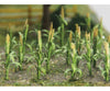Bachmann 32501 Corn Stalks -- 1 2.5Cm Tall Pkg(30) Other Scenery