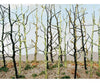 Bachmann 32509 Woods Edge Trees -- Bare Pkg(14) Other Scenery