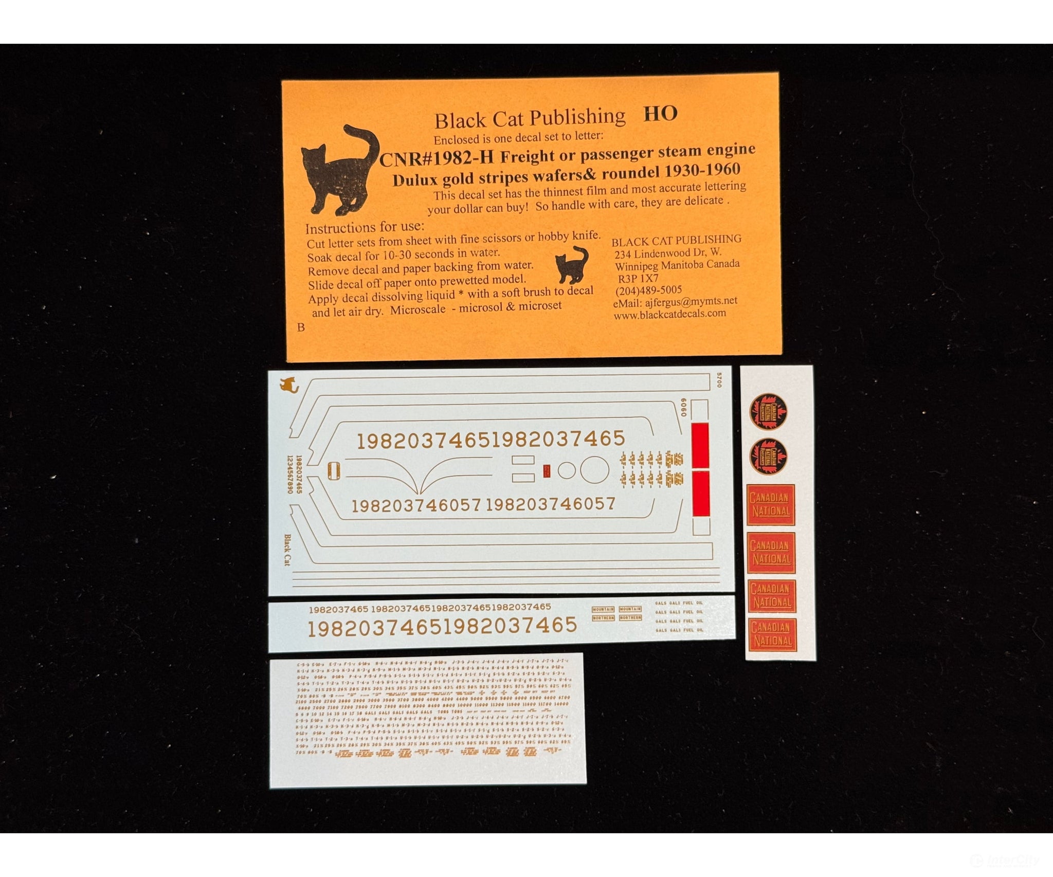 Black Cat Decals CNR1982-H HO CNR Steam Engines Freight or Passenger Dulux Gold 1930s -1961 - Decals