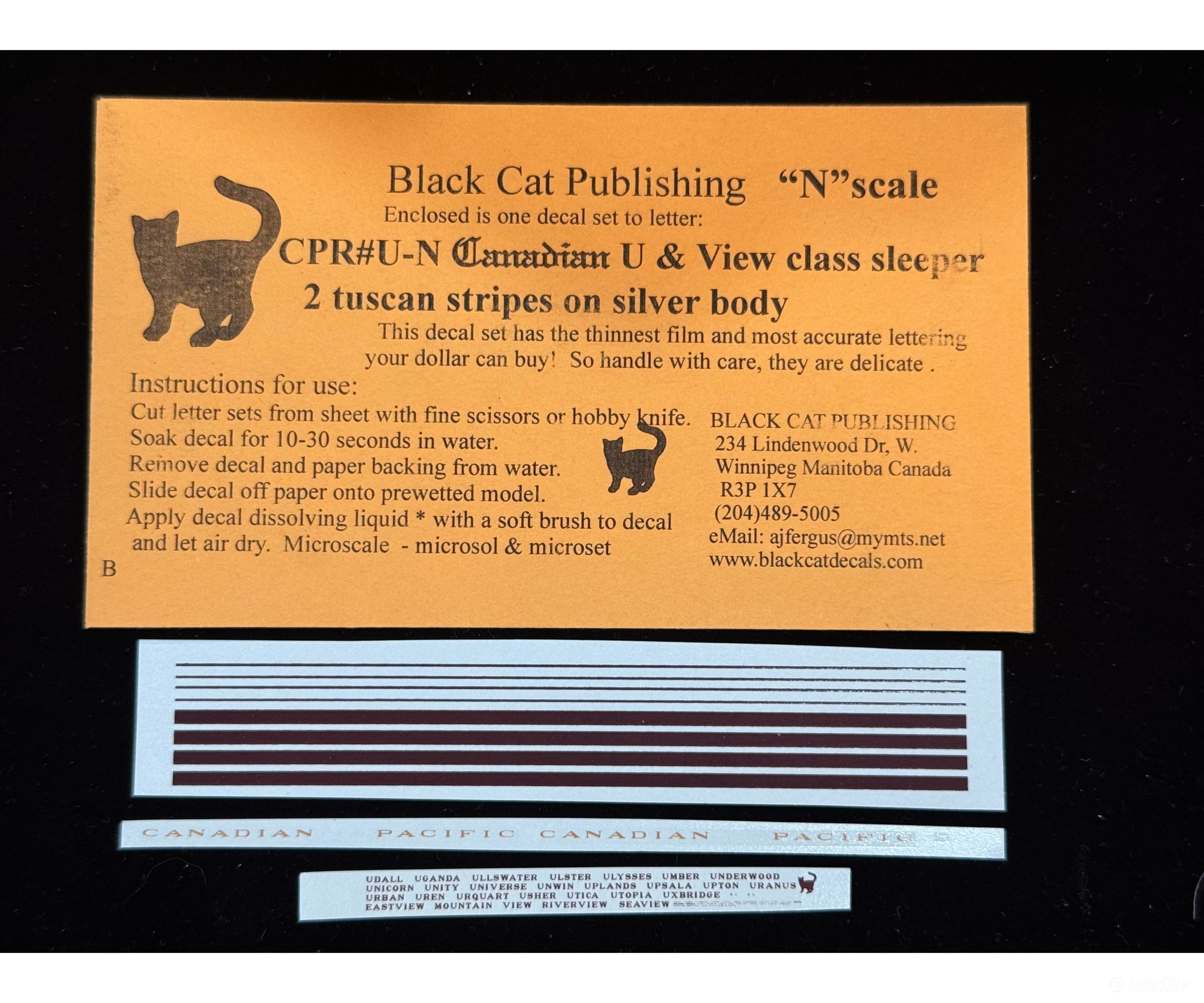 Black Cat Decals CPRU-N N Scale CANADIAN U and View Class Sleeper 2 Tuscan Stripes on Silver Body - Decals