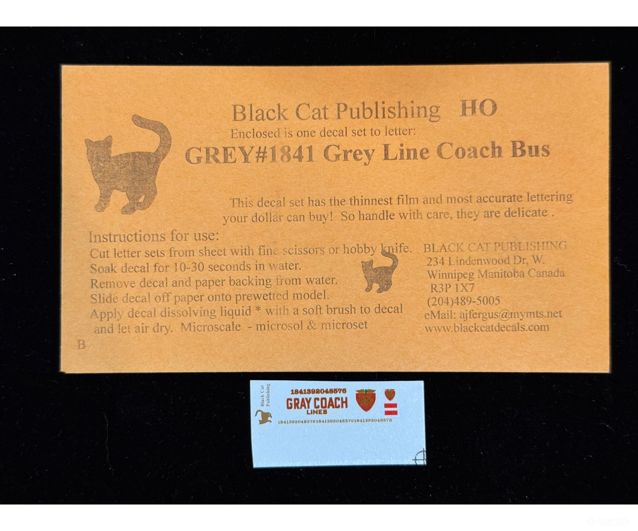Black Cat Decals GRAY1841 HO Gray Line Coach Bus - Decals