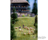 Faller 155901 N Sheep Farming Figures