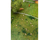 Faller 155906 N 20 Black-Headed Sheep Figures