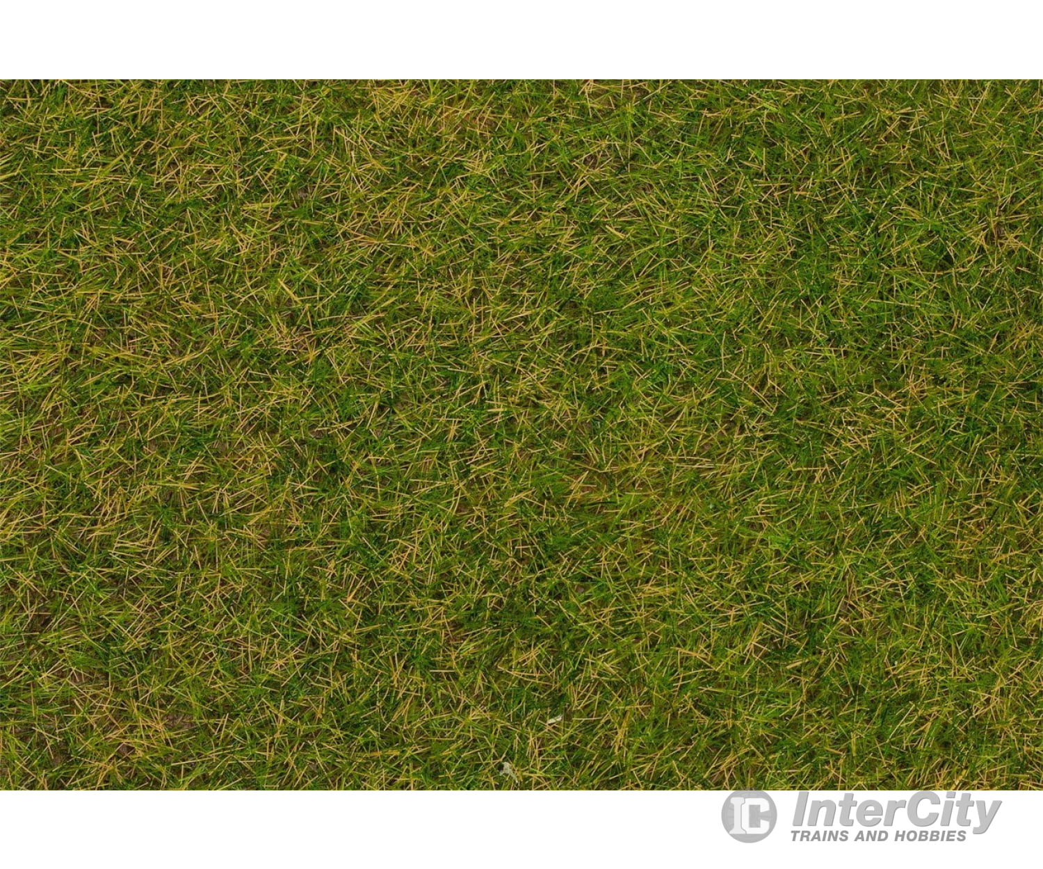 Faller 170206 H0 Tt N Wild Grass Ground Cover Fibres Early Summer Lawn 4 Mm 30 G Static Grass &