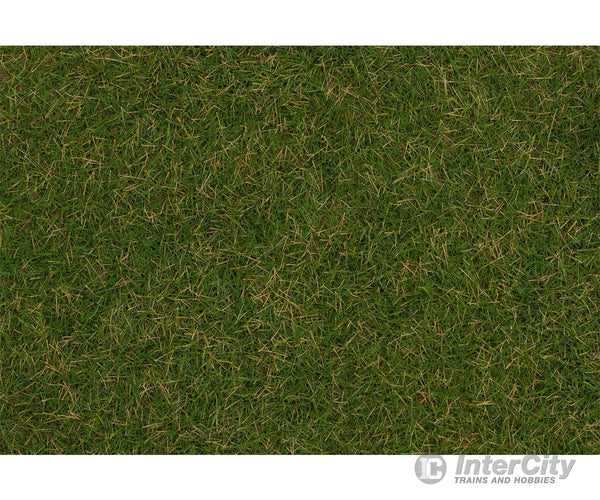 Faller 170207 H0 Tt N Wild Grass Ground Cover Fibres Summer Lawn 4 Mm 30 G Static Grass &