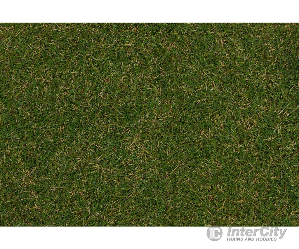 Faller 170232 H0 Tt N Wild Grass Ground Cover Fibres Summer Lawn 4 Mm 80 G Static Grass &