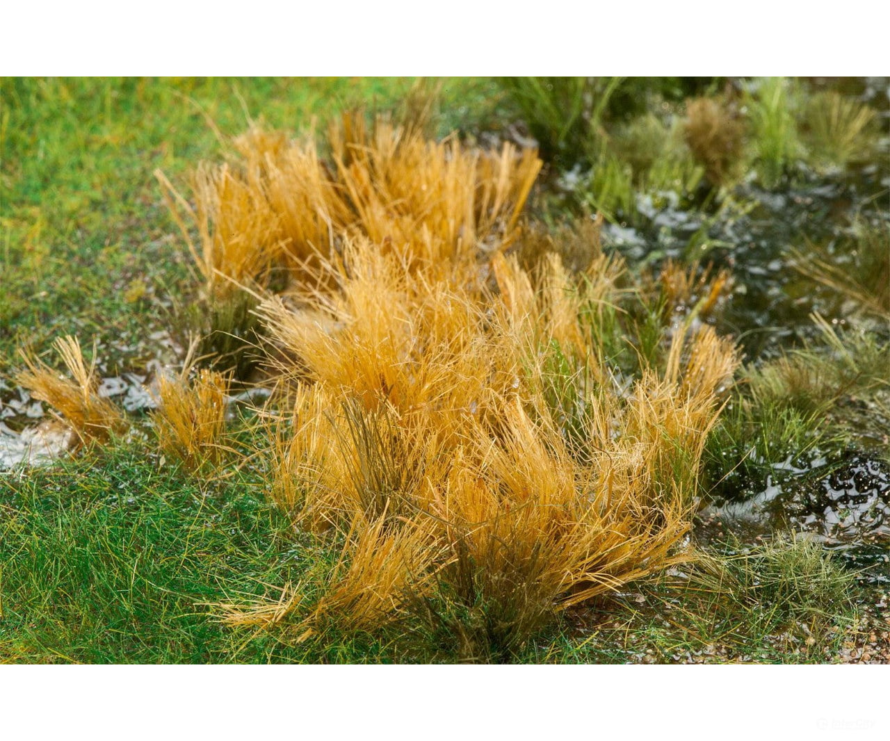 Faller 170715 Ho Tt N Z Reeds Trees & Vegetation