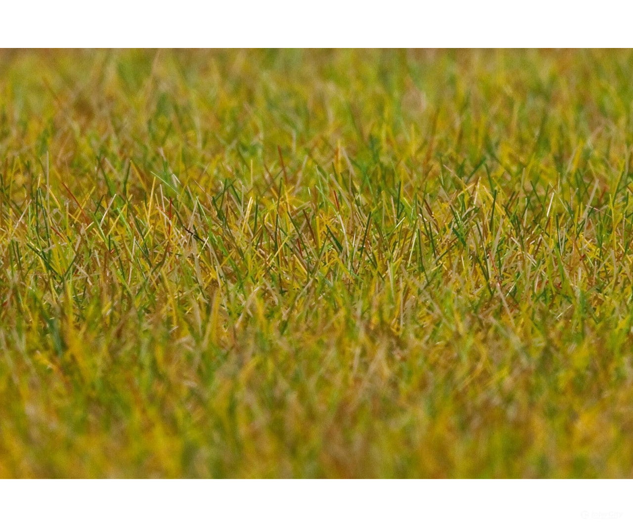 Faller 180484 Ho Tt N Premium Ground Cover Fibres Meadow Light Green 6 Mm 30 G Grass & Scenery Mats