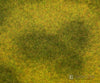 Faller 180488 Ho Tt N Premium Landscape Segment Meadow Light Grass & Scenery Mats