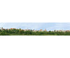 Faller 180509 Ho Tt N Small Town Model Background Other Scenery