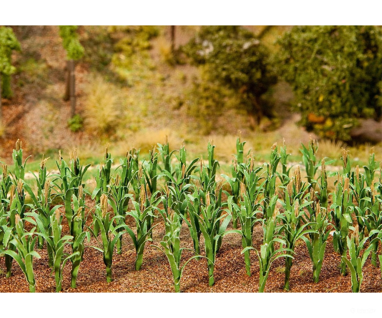 Faller 181250 Ho Tt N 36 Maize Plants Trees & Vegetation