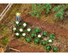 Faller 181257 Ho 10 Heads Of Green Cabbage And Heads Cauliflower Trees & Vegetation