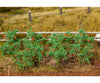 Faller 181259 Ho 18 Tomato Plants Trees & Vegetation