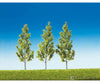 Faller 181372 Ho Tt N 3 White Birches Top Series Trees & Vegetation