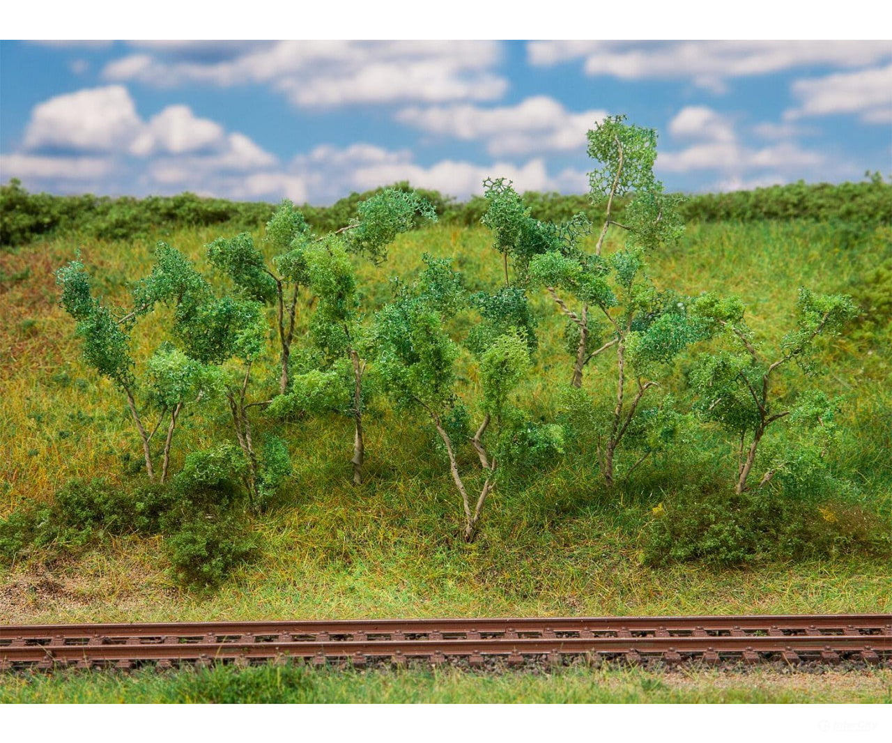 Faller 181409 Ho Tt Trees And Shrubs For The Edge Of Forest & Vegetation