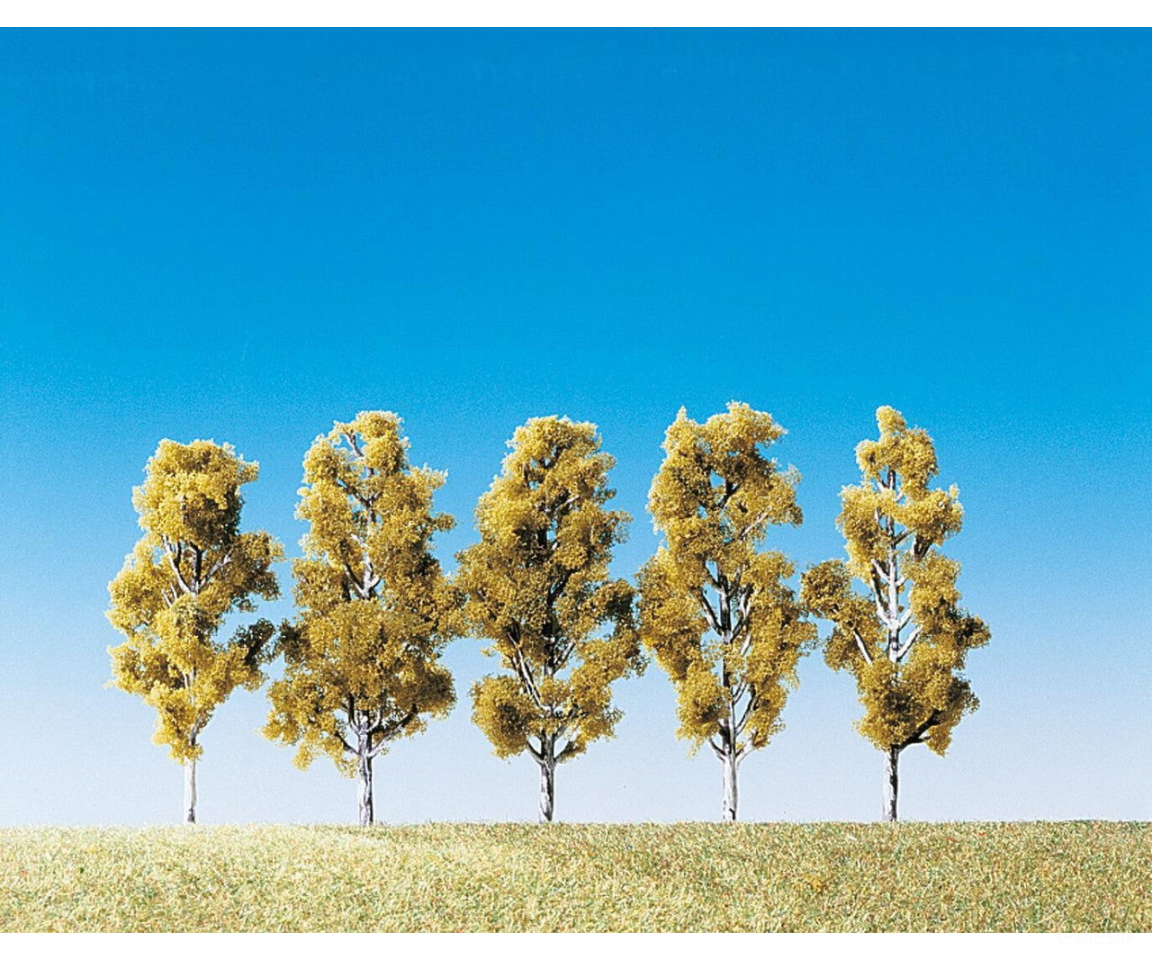 Faller 181486 Ho Tt N 5 Birches Trees & Vegetation
