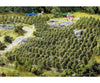 Faller 181490 Ho Tt N 36 Vines Trees & Vegetation