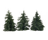 Faller 181544 HO 3 Fir trees - Trees & Vegetation