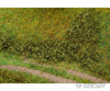 Faller 181618 H0 Tt N Z Clump Foliage Summer Green Trees & Vegetation
