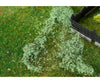 Faller 181619 Ho Tt N Z Clump Foliage Mid Green Trees & Vegetation