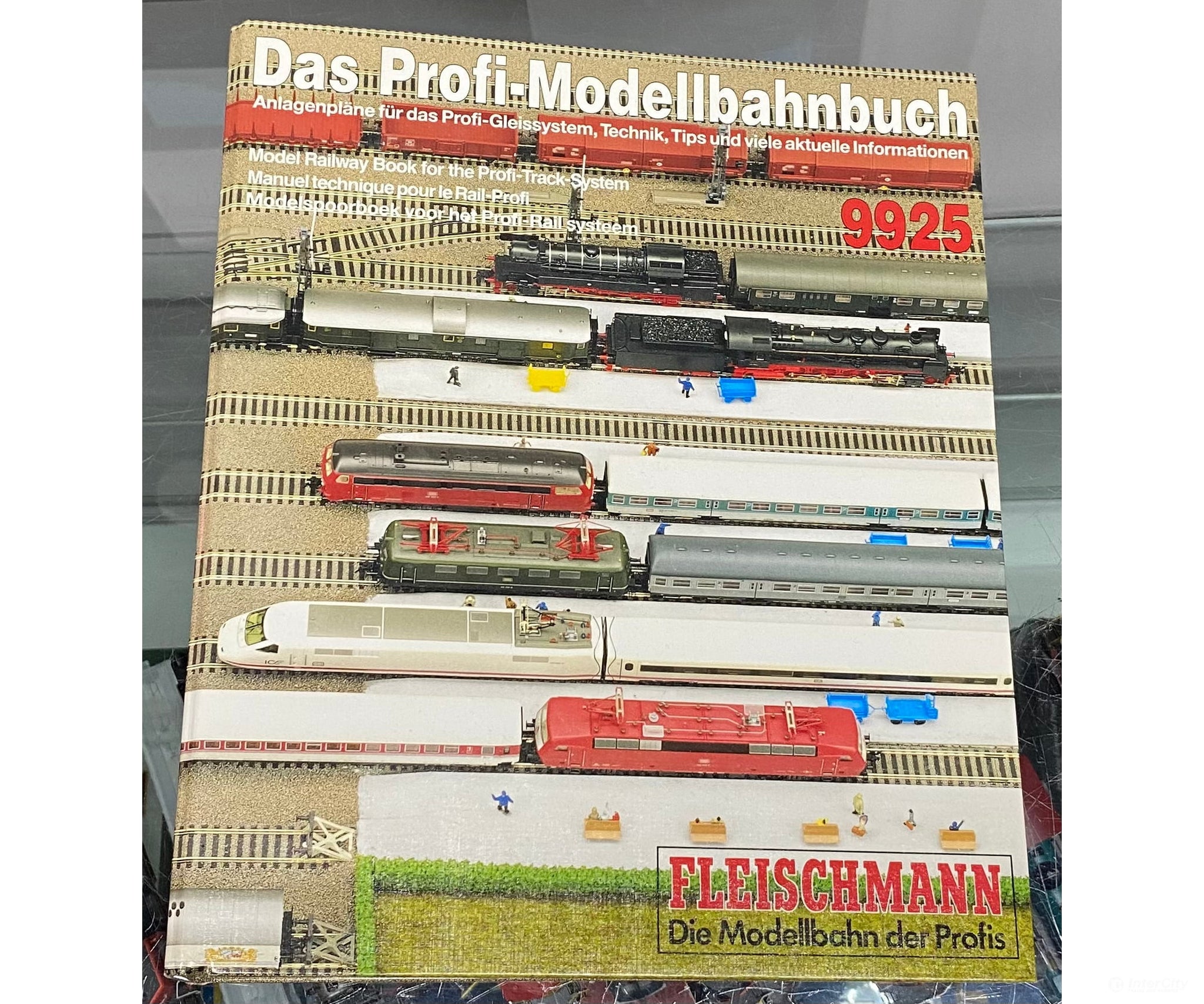 Fleischmann 9925 Das-profi-Modellbahnbuch - English Books
