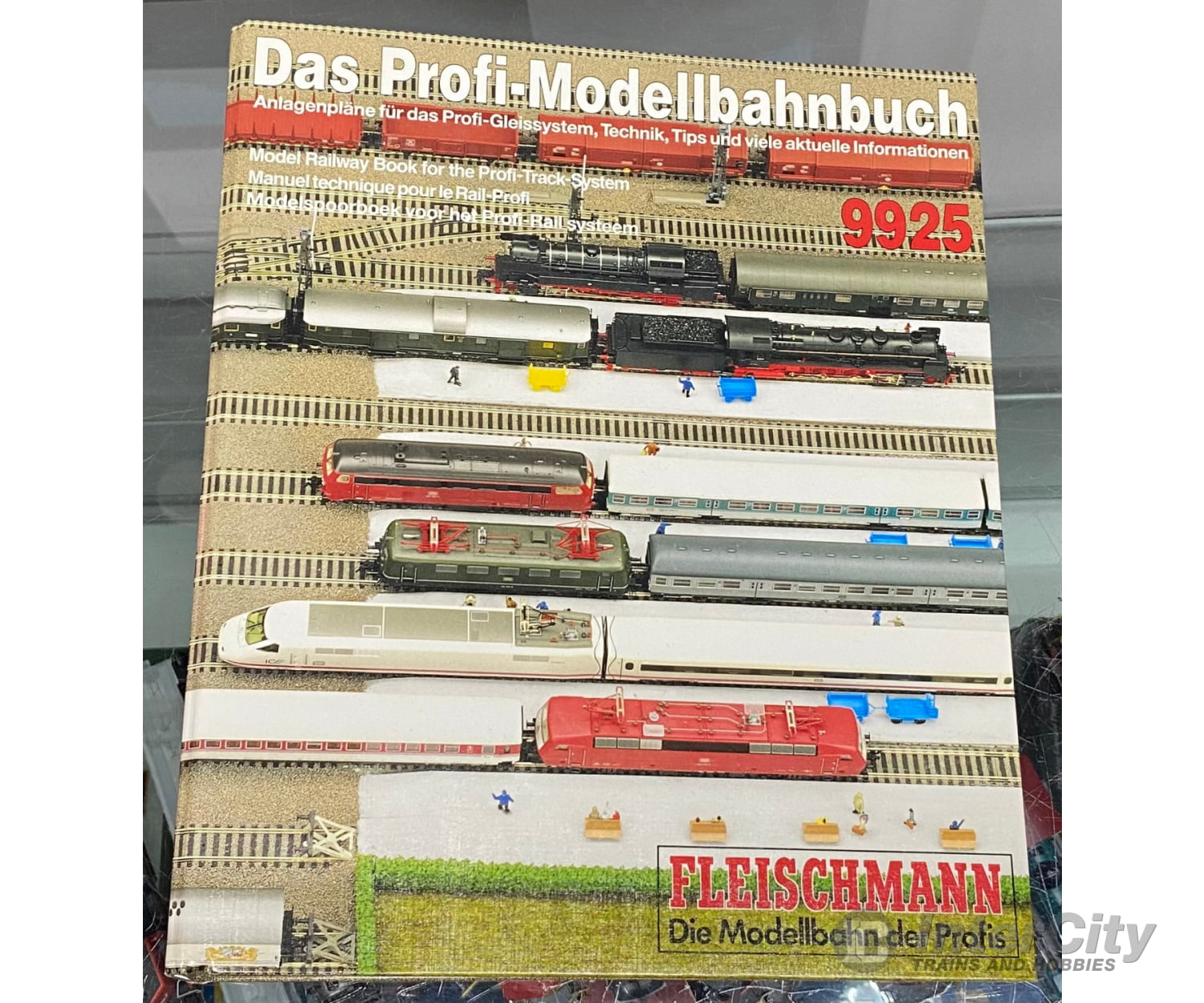 Fleischmann 9925 Das-profi-Modellbahnbuch - English Books