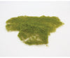 Heki 1855 HO/TT/N Wild Grass Mat- Decovilies Wildgras - Meadow Green - 40 x 40cm Grass & Scenery Mats