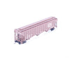 InterMountain 65372-01 N 4750 cu.ft 3 Bay Hopper (IC) Canadian National (CN) 765379 - Freight Cars
