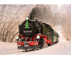 LGB 21486 G DR DR Steam Loco Road Number 99 1734-5 SDG - European Locomotives