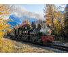 Lgb 26701 G Rc & Bt Rr Shay Steam Locomotive No. 7 European Locomotives