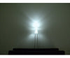 Miniatronics Corp. 1282505 Tower Led 2Mm - Set Of 5 -- White Lights & Electronics