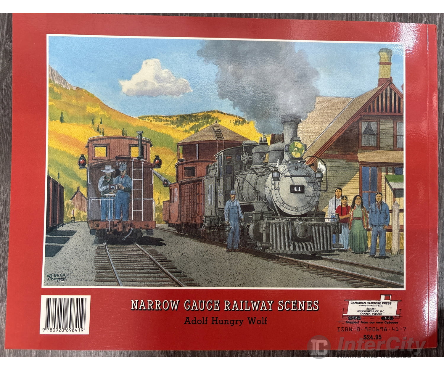 Narrow Gauge Railway Scenes by Adolf Hungry Wolf Books