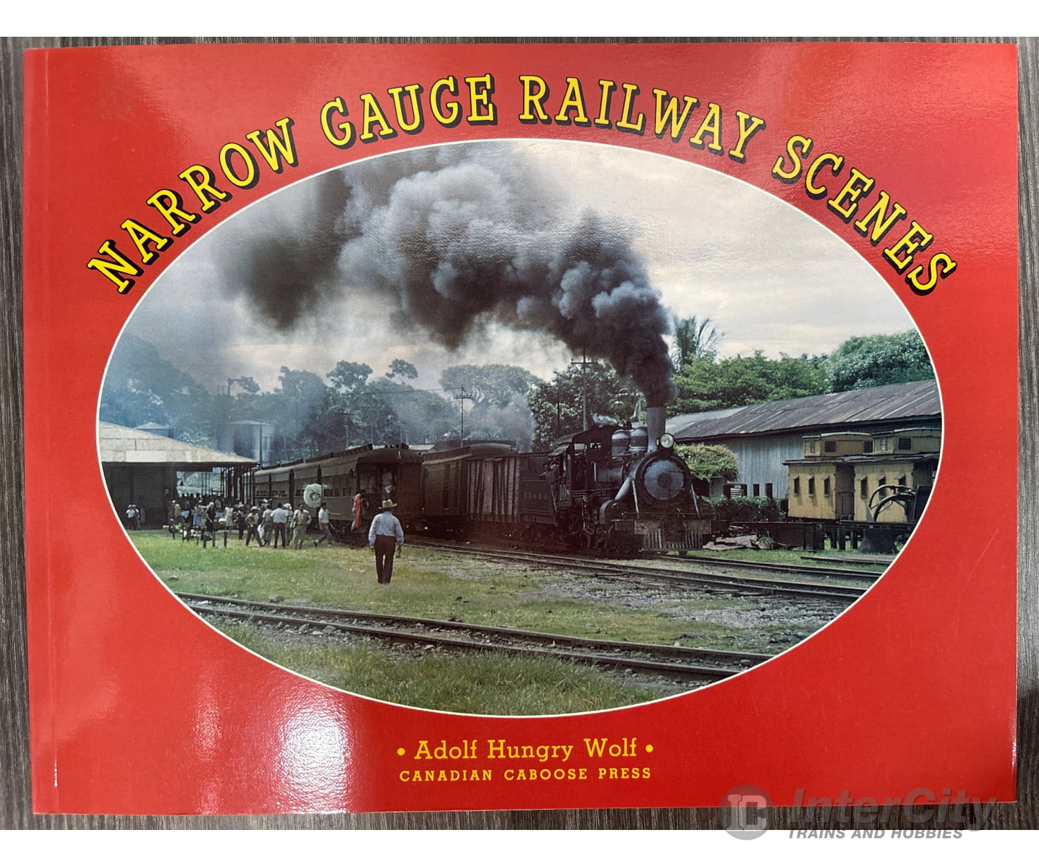Narrow Gauge Railway Scenes by Adolf Hungry Wolf Books