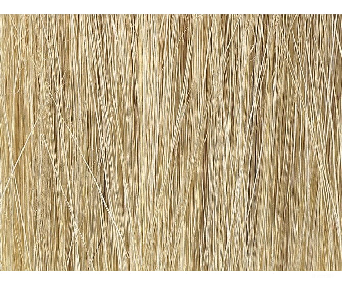 Noch 07060 Reed Assortment Scenery Details