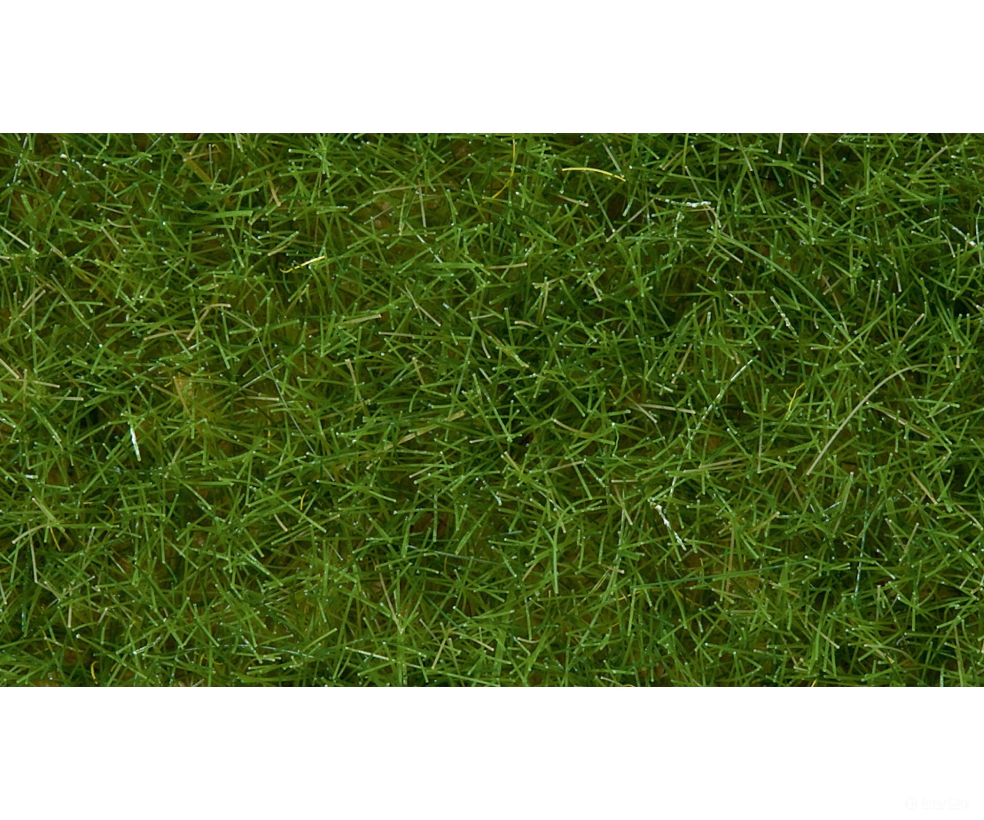 Noch 07102 Wild Grass Static Grass & Applicators