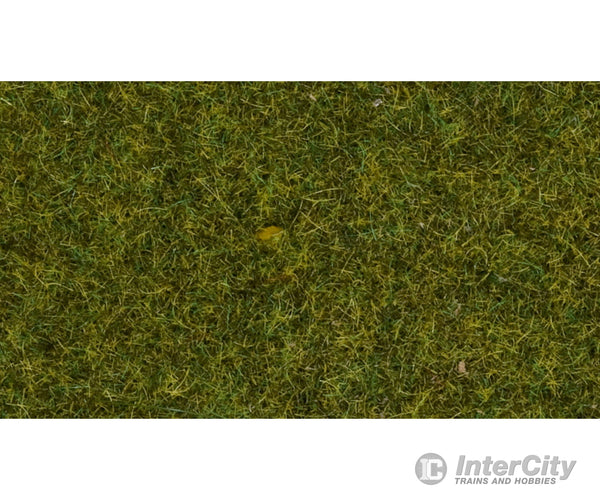 Noch 07117 HO TT O Wild Grass ’Meadow’ Static Grass & Applicators