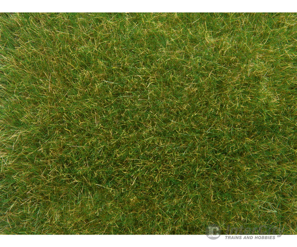 Noch 07118 HO TT O Wild Grass Medium Green Static Grass & Applicators