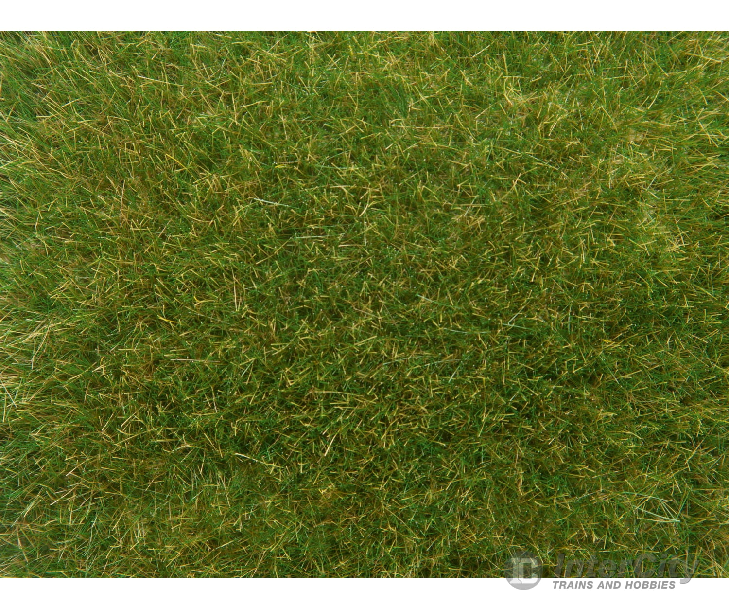 Noch 07118 HO TT O Wild Grass Medium Green Static Grass & Applicators