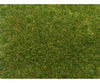 Noch 07118 HO TT O Wild Grass Medium Green Static Grass & Applicators