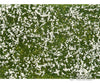 Noch 07256 HO N Z Groundcover Foliage ’Meadow’ White Grass & Scenery Mats