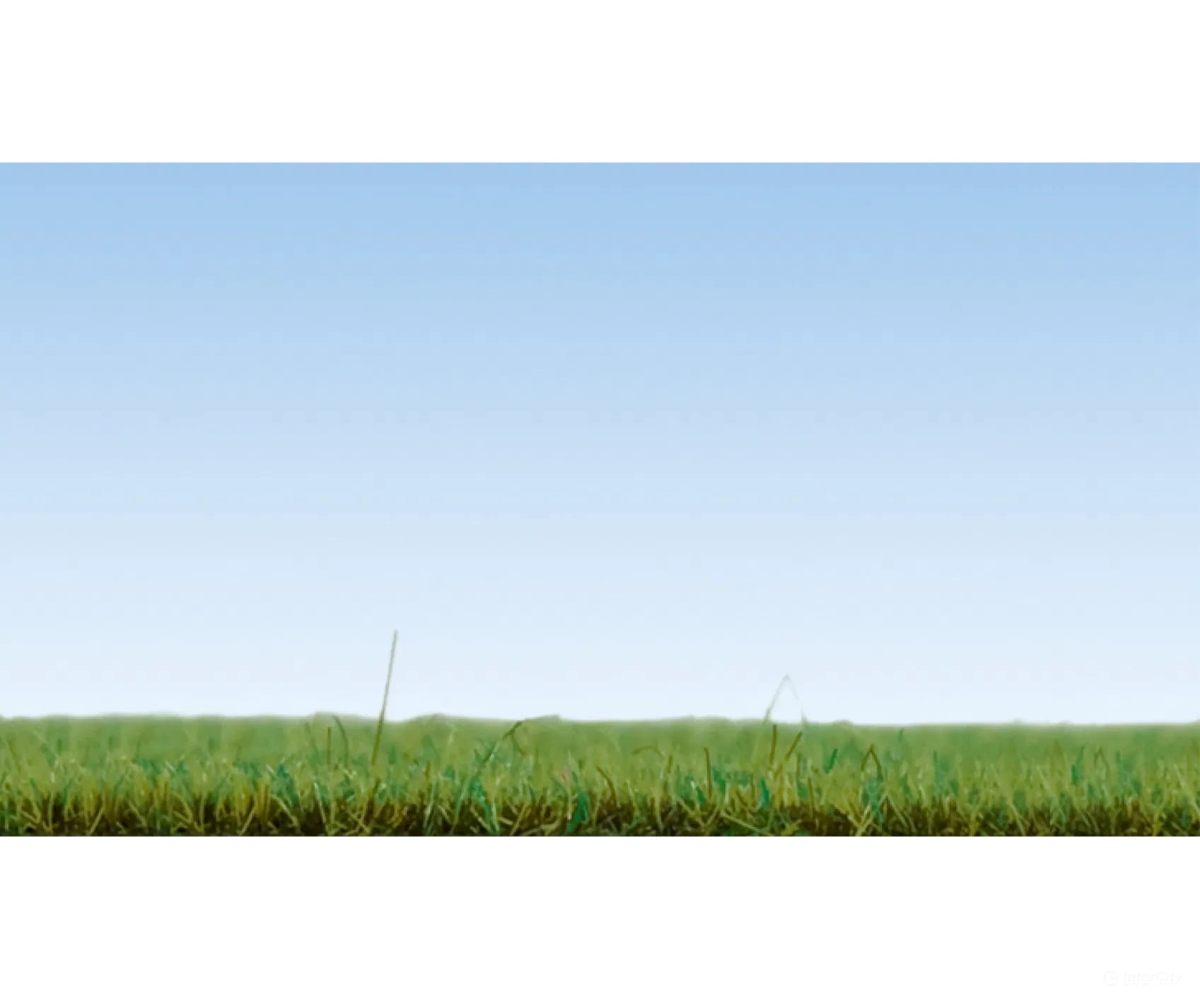 Noch 08157 HO N Z Scatter Grass ’Forest Floor’ Static Grass & Applicators